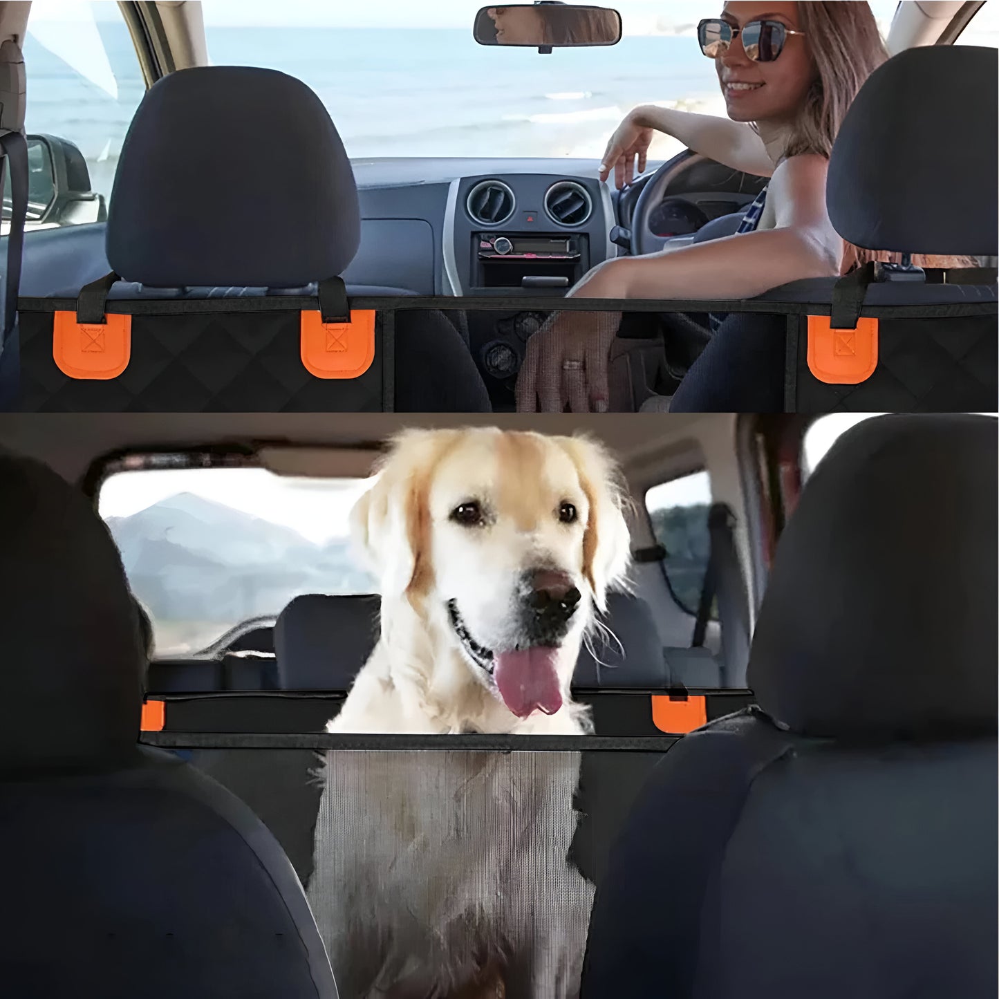 🐾 Premium Hard Bottom Car Seat Cover 🐾 - 🚨 50% OFF Clearance Sale 🚨